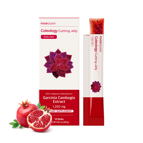 FOODOLOGY | Coleology Cutting Jelly