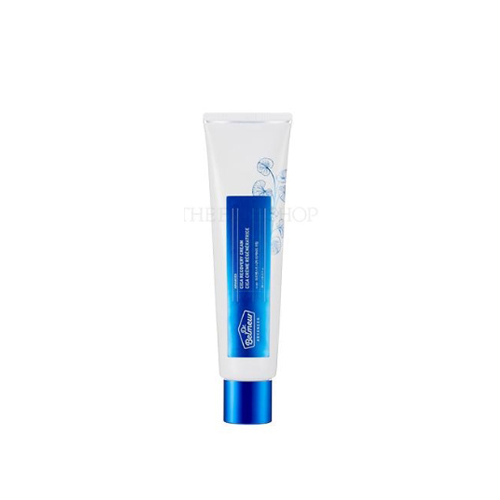 THE FACE SHOP Dr.Belmeur Advanced Cica Recovery Cream THE FACE SHOP Dr.Belmeur Advanced Cica Recovery Cream
